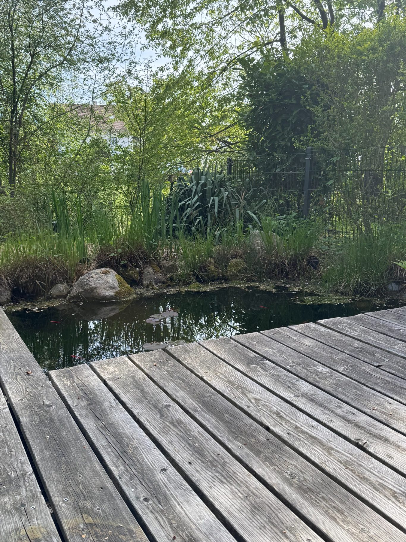 Erdspießlautsprecher Ein Holzsteg neben einem kleinen Teich, umgeben von Gräsern und Bäumen mit versteckten Lautsprechern